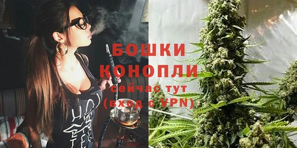 гидропоника Лагань
